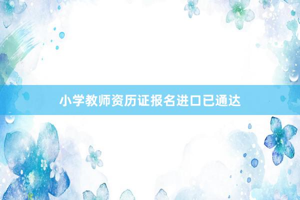 小学教师资历证报名进口已通达